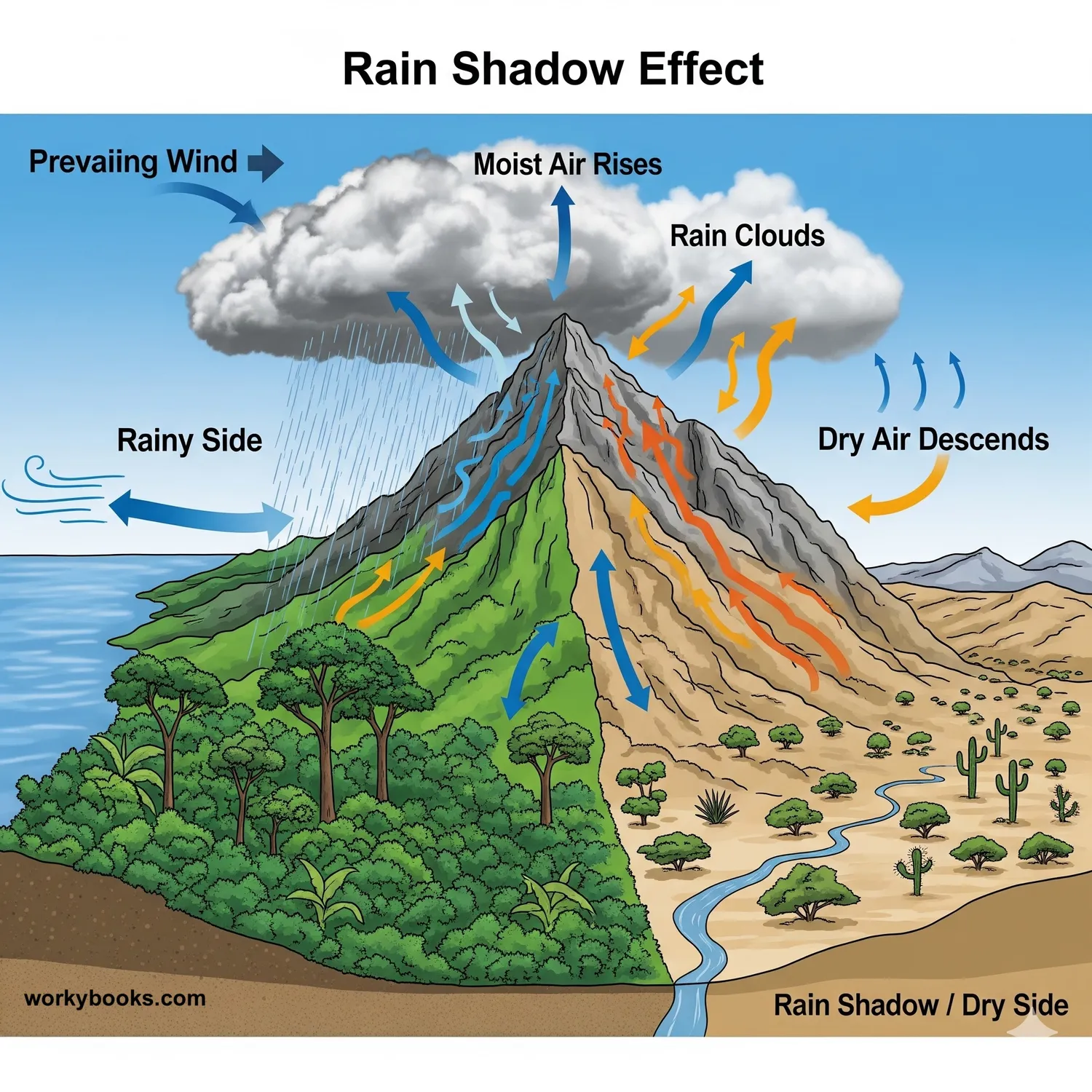Diagram showing the rain shadow effect with a rainy side and a dry desert side.